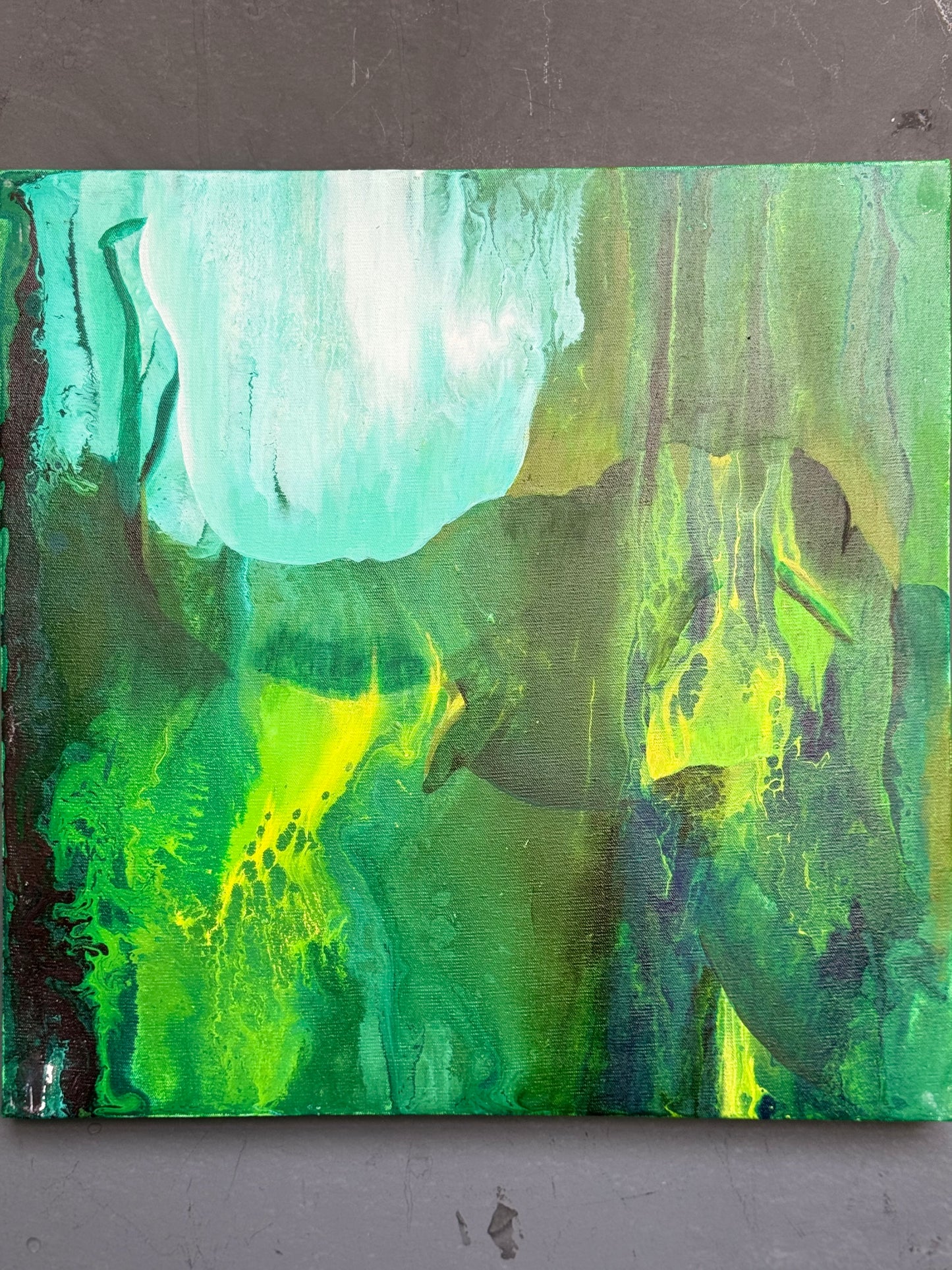 Elephant - acrylic colors painting on stretched canvas 18 x 18 inches