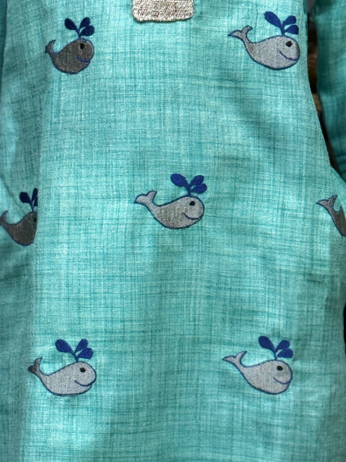 Sea green fish embroidered long kurta, silver chudidhar pants - 2 piece ethnic set for boys