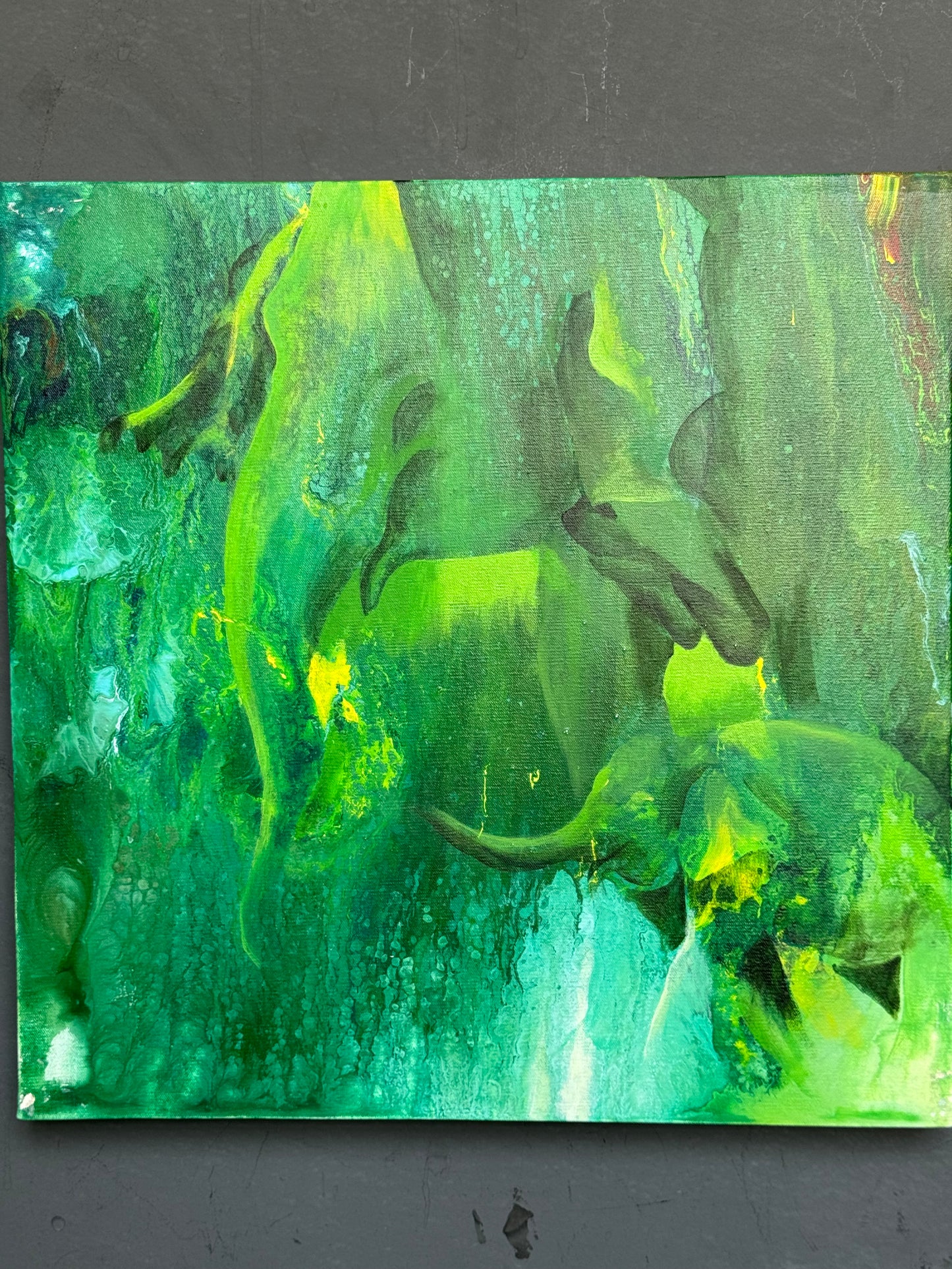 Elephant - acrylic colors painting on stretched canvas 18 x 18 inches