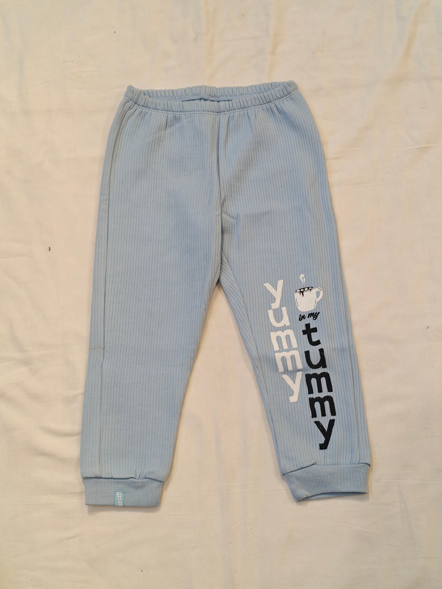 Blue thermal full sleeve top and pant set for kids with bear print