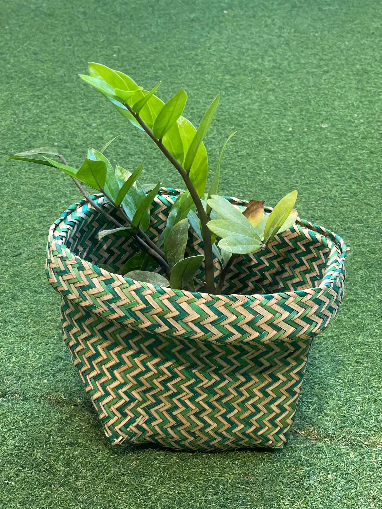 Eco friendly natural Murta planter / organizer