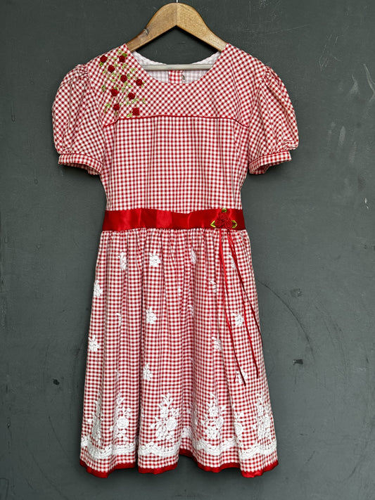 Red gingham checks cotton embroidered frock